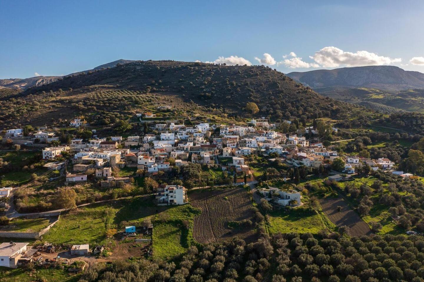 Physis Country House Near Matala Beach & Faistos Kouses Dış mekan fotoğraf