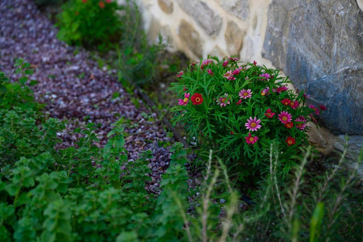 Physis Country House Near Matala Beach & Faistos Kouses Dış mekan fotoğraf